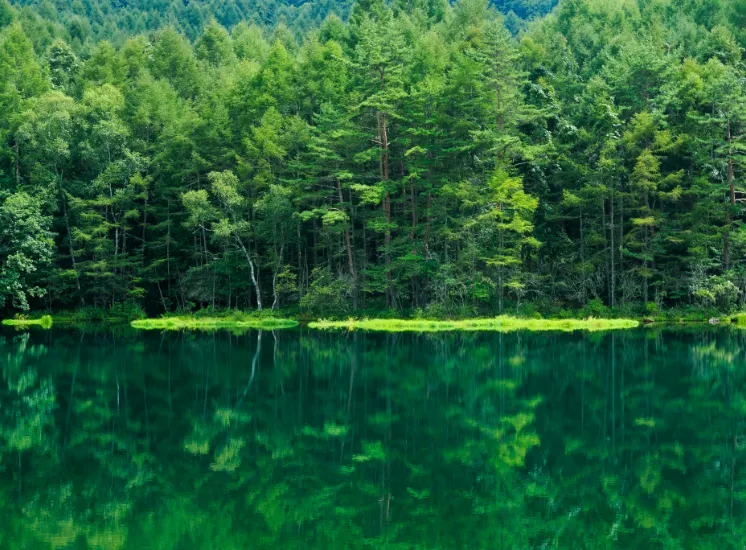 自然環境への配慮と生物多様性の保全