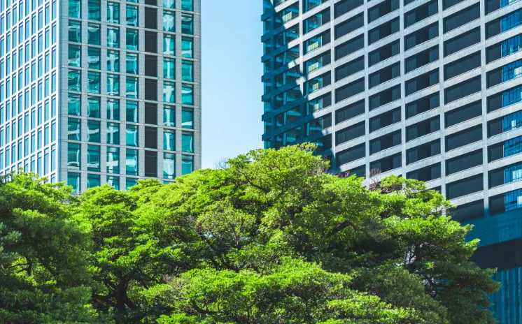 関連事業